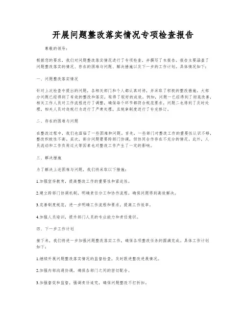 开展问题整改落实情况专项检查报告