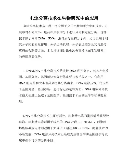 电泳分离技术在生物研究中的应用