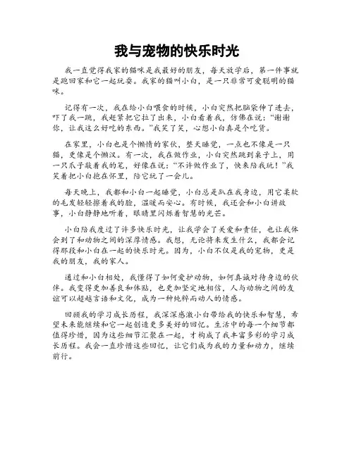 我与宠物的快乐时光