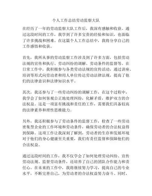 个人工作总结劳动监察大队