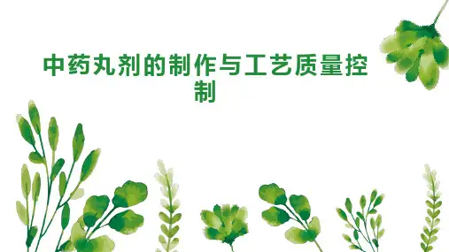 中药丸剂的制作与工艺质量控制