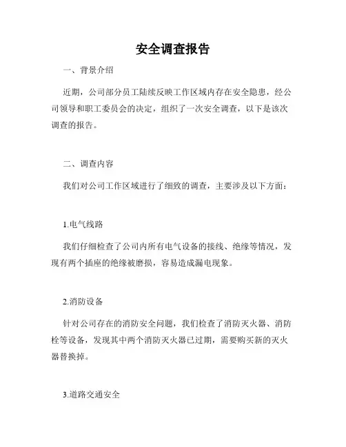 安全调查报告