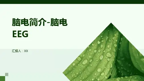 脑电简介-脑电 EEG