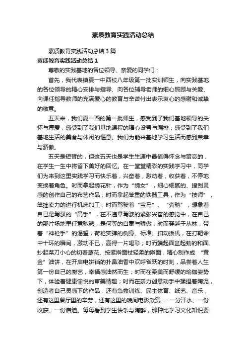 素质教育实践活动总结