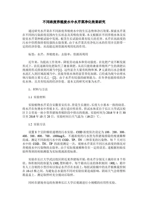 不同浓度养殖废水中水芹菜净化效果研究