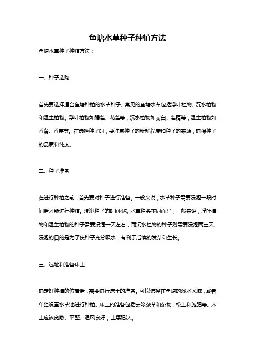 鱼塘水草种子种植方法