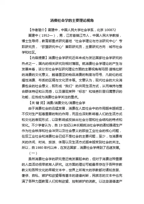 消费社会学的主要理论视角