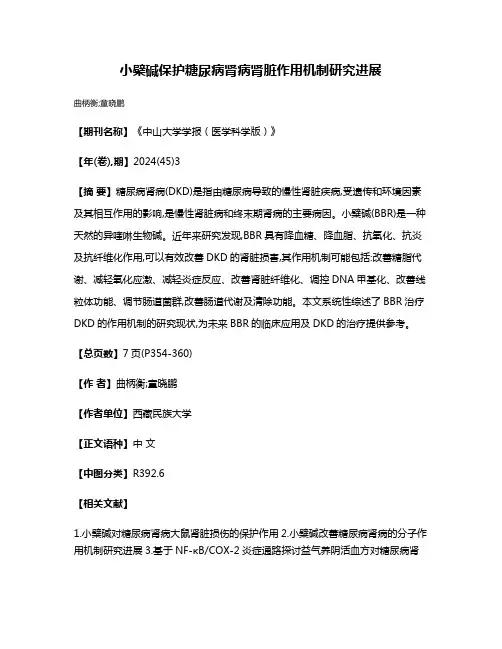 小檗碱保护糖尿病肾病肾脏作用机制研究进展
