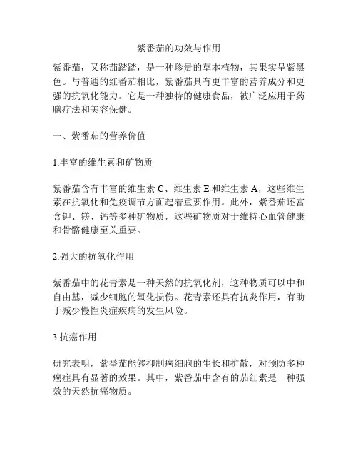 紫番茄的功效与作用
