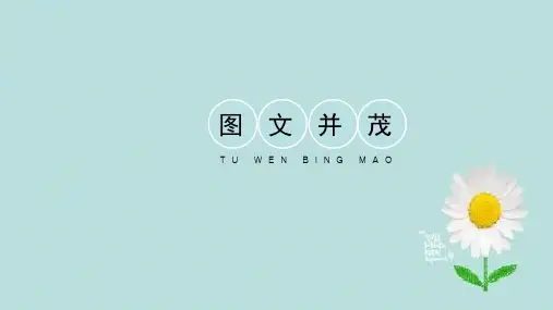 (精品课件)人教版六年级下册美术-9《图文并茂》  (共25张PPT)