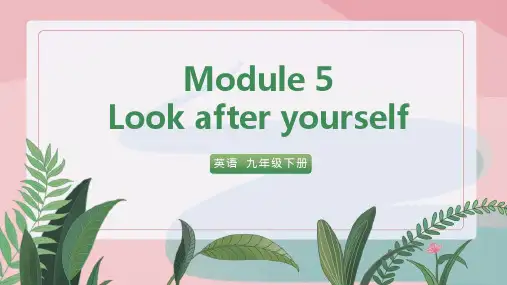 初中英语外研版九年级下册《Module 5 Look after yourself Unit 2》课