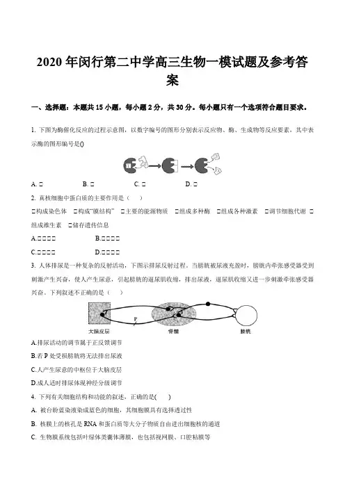 2020年闵行第二中学高三生物一模试题及参考答案