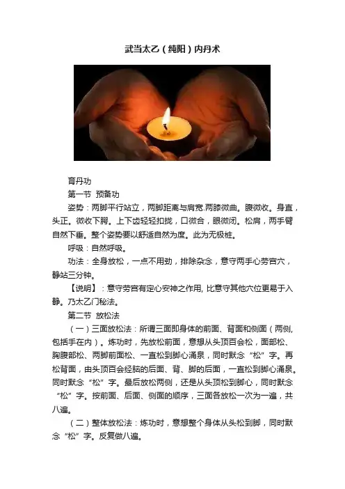 武当太乙（纯阳）内丹术