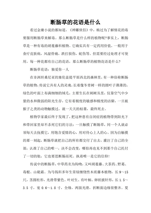 断肠草的花语是什么(完整版)