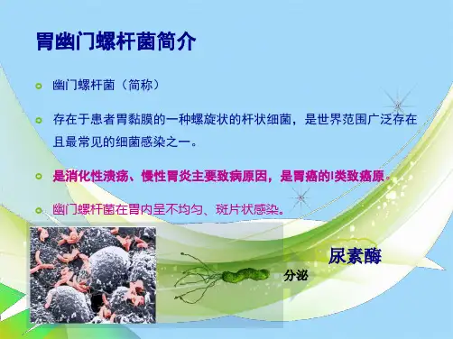 碳呼气试验检测幽门螺杆菌课件(共40张PPT)