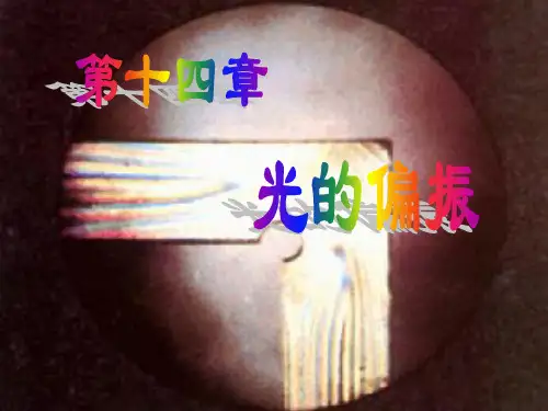 第30讲-光的偏振PPT课件