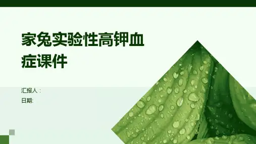 家兔实验性高钾血症课件