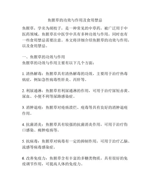 鱼腥草的功效与作用及食用禁忌