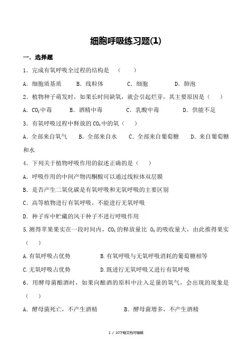 高一生物-细胞呼吸练习题