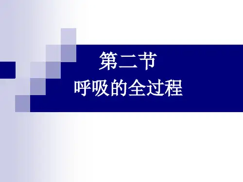 第二节 呼吸的全过程 PPT课件