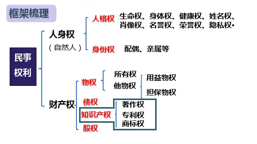 尊重知识产权高中政治统编版选择性必修2法律与生活