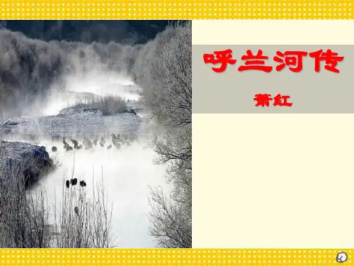 《呼兰河传》PPT课件