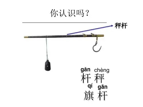 二年级上册语文课件-4 曹冲称象 部编版 (共35张PPT)