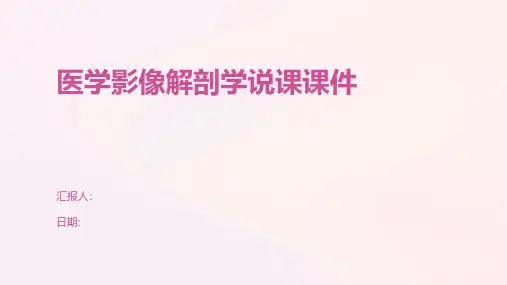 医学影像解剖学说课课件