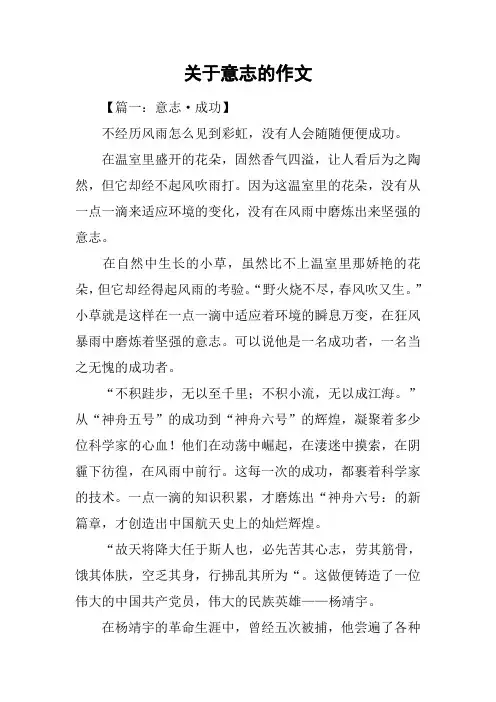 关于意志的作文