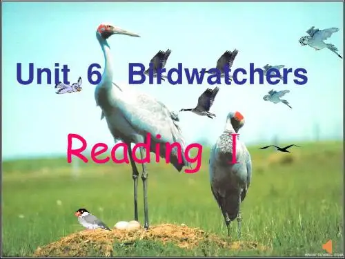 牛津译林版八年级英语上册《nit 6 Birdwatching  Reading 1： Birds in Zhalong》优质课课件_9