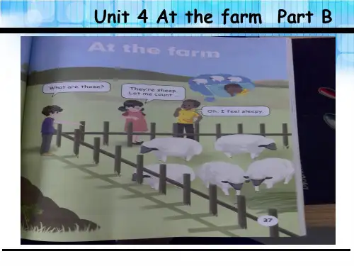 四年级下册英语课件-Unit 4 At the farm B_人教(PEP)(2014秋) (共23张PPT)