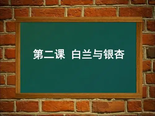 三年级下册科学《植物的身体》人教版