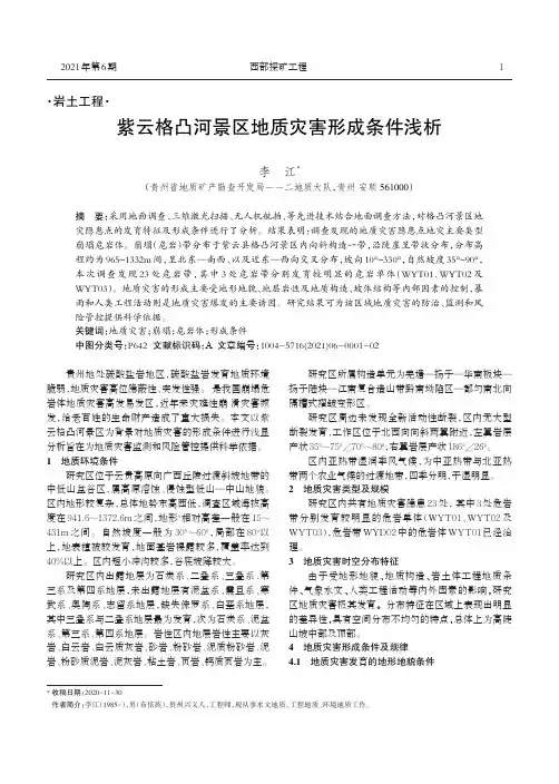 紫云格凸河景区地质灾害形成条件浅析