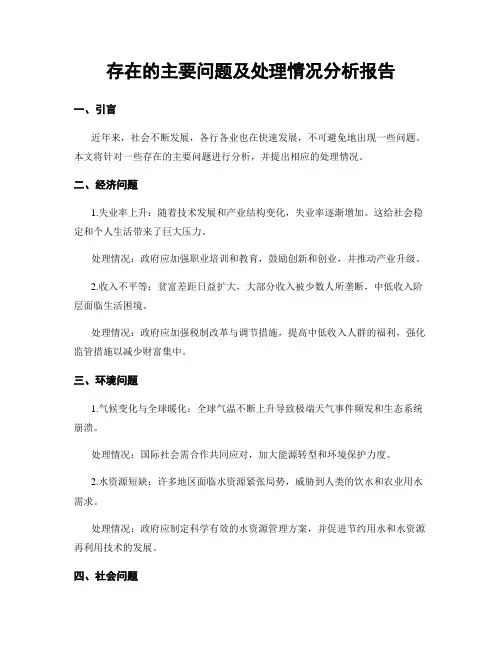 存在的主要问题及处理情况分析报告