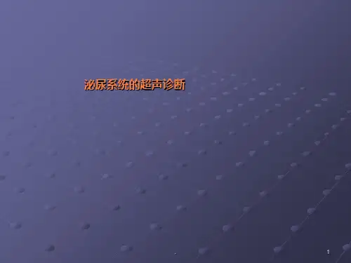 泌尿超声pptppt课件