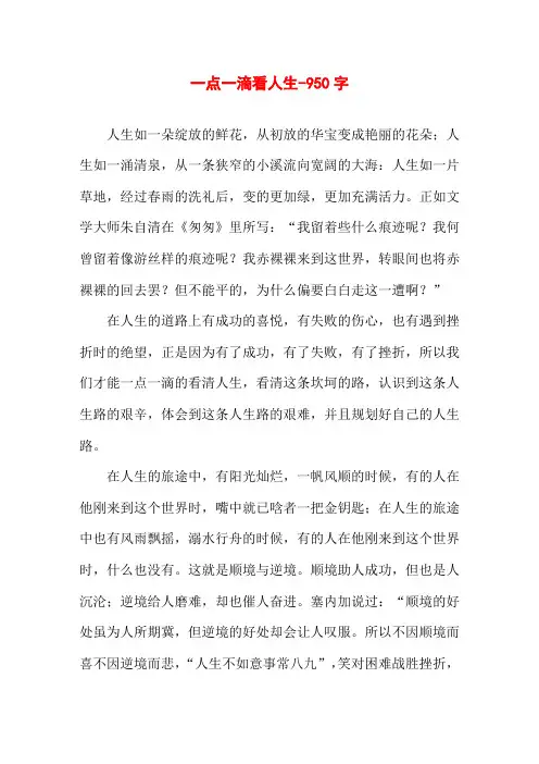 一点一滴看人生-950字高二作文议论文