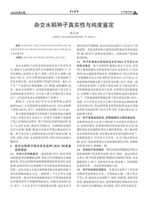 杂交水稻种子真实性与纯度鉴定