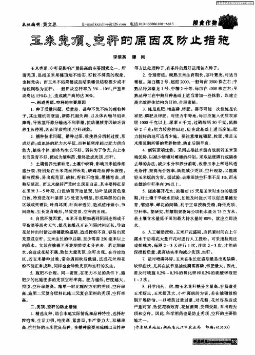 玉米秃顶、空秆的原因及防止措施