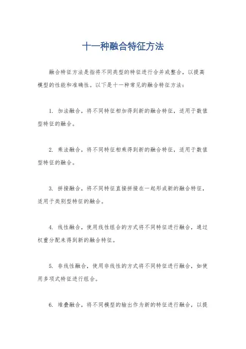 十一种融合特征方法