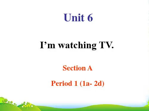 人教版七年级英语下册Unit 6 I'm watching TV 公开课课件
