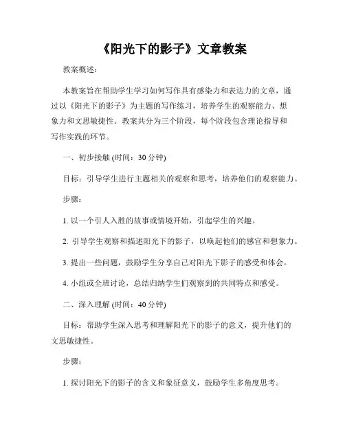 《阳光下的影子》文章教案