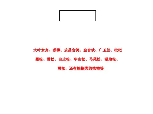 常见乔木灌木清晰版本精品PPT课件