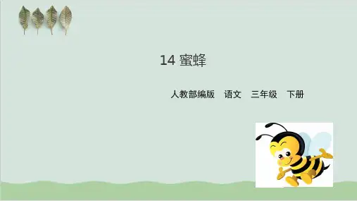 三年级下语文课件：第四单元第14课蜜蜂 (共30张PPT) 人教部编版