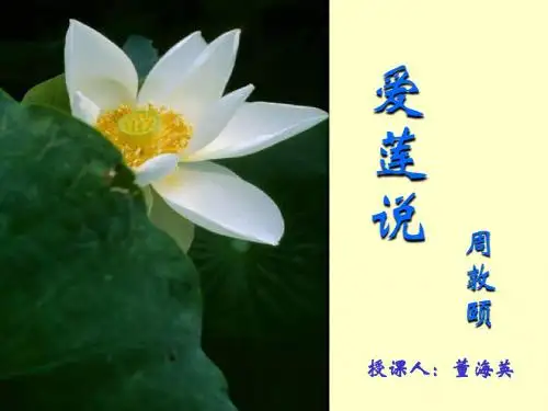 《爱莲说》课件3(28张PPT)(人教版八年级上)
