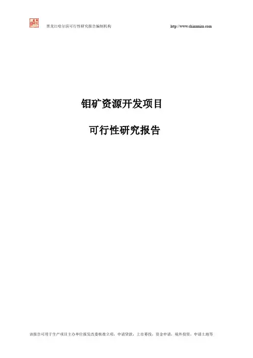 钼矿资源开发项目可行性研究报告