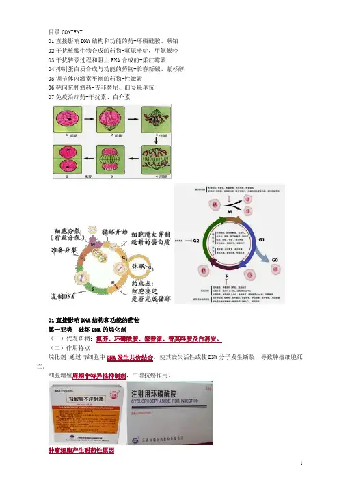 2020年执业药师考试西药学专业知识二1201
