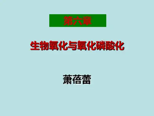 基础生化第六章生物氧化与氧化磷酸化