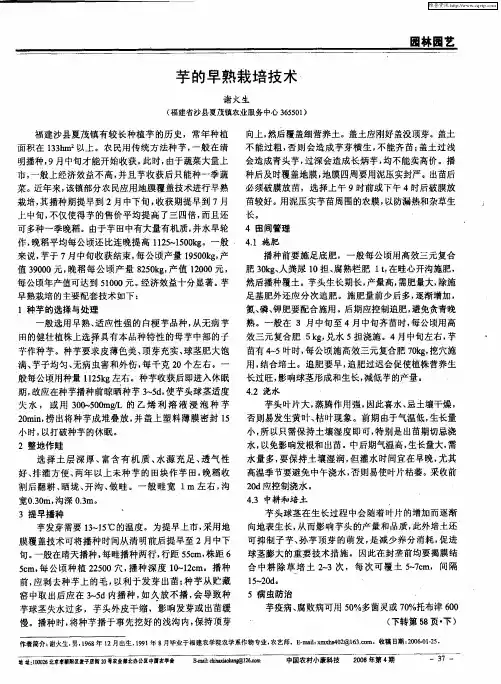 芋的早熟栽培技术