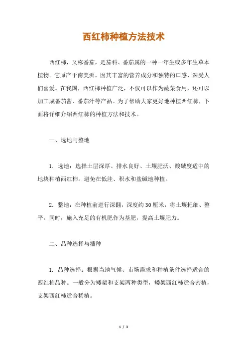 西红柿种植方法技术