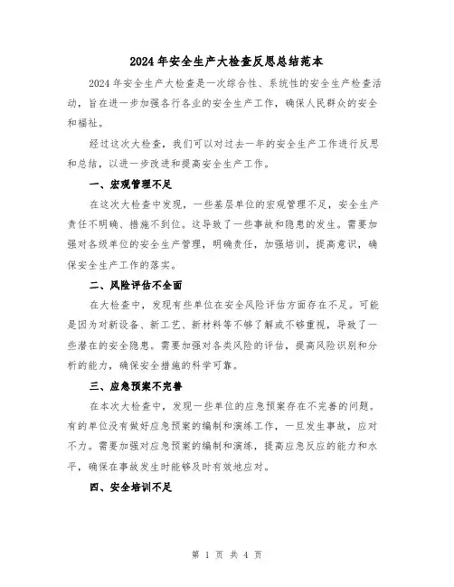 2024年安全生产大检查反思总结范本(2篇)
